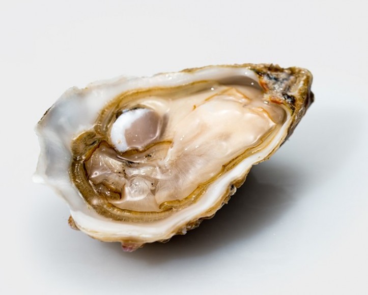 <h6 class='prettyPhoto-title'>Special Gillardeau - Brittany Special oyster</h6>
