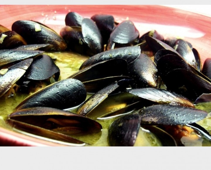 <h6 class='prettyPhoto-title'>Mussels in green willows</h6>