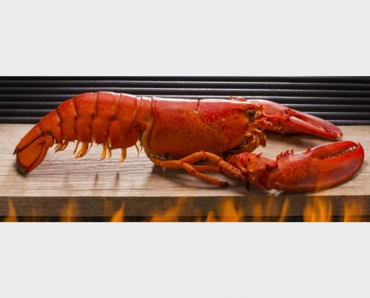 <h6 class='prettyPhoto-title'>One grilled lobster</h6>