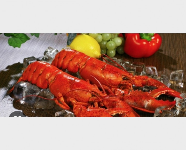 <h6 class='prettyPhoto-title'>Double grilled lobster</h6>