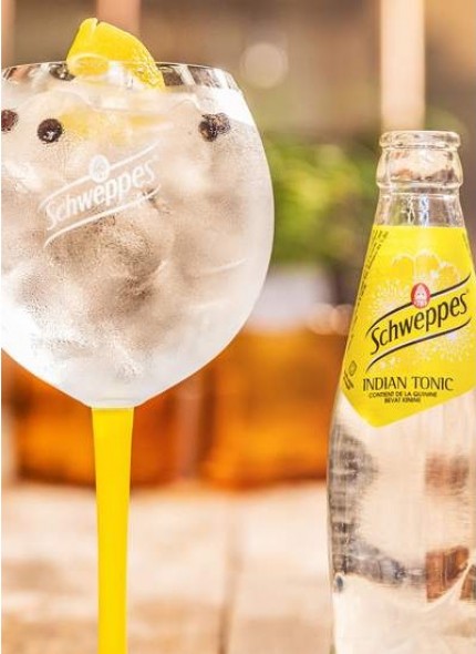 <h6 class='prettyPhoto-title'>Schweppes indian tonic 33cl</h6>