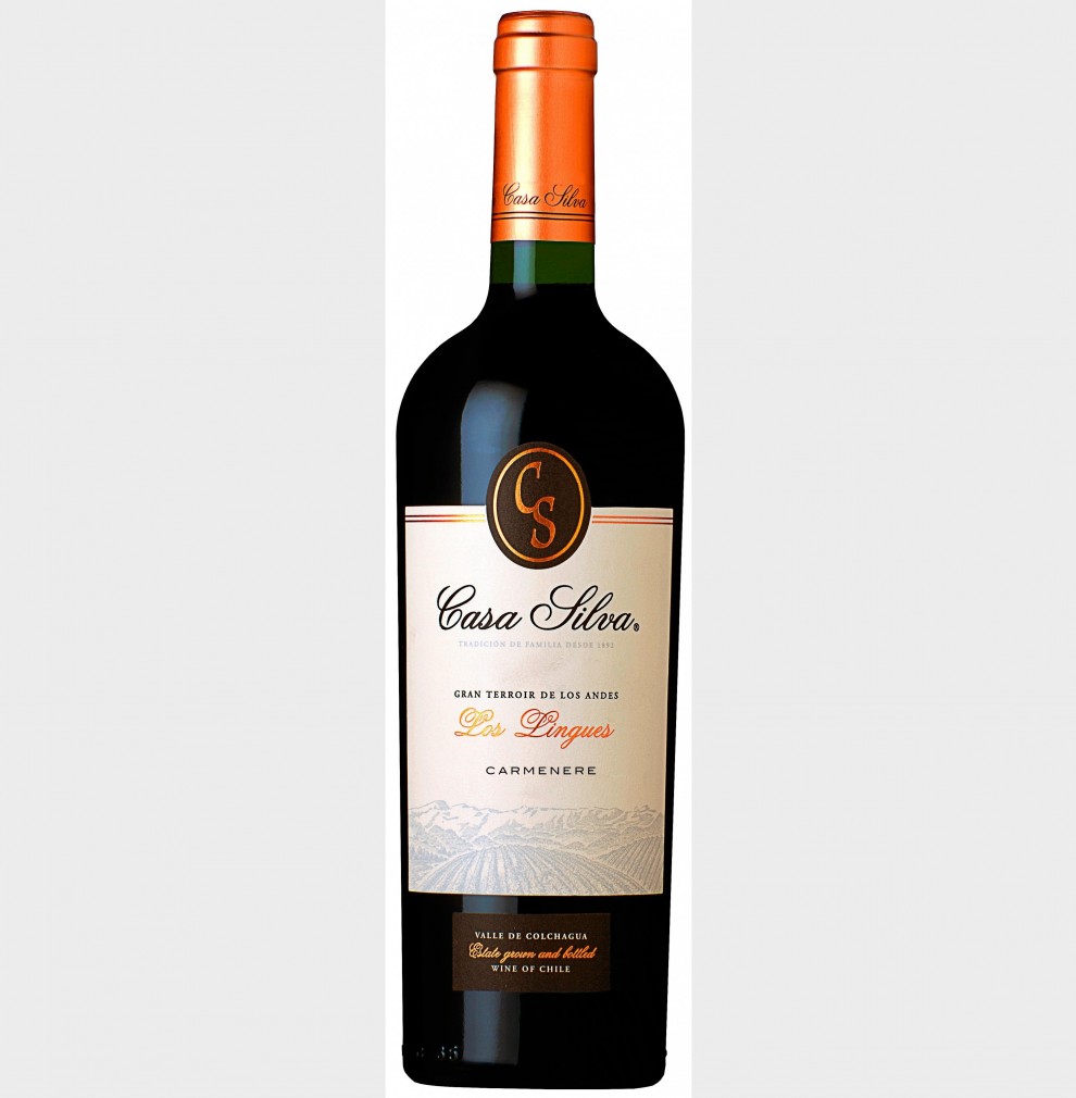 <h6 class='prettyPhoto-title'>Red wine bottle: Chilean Carmenere</h6>