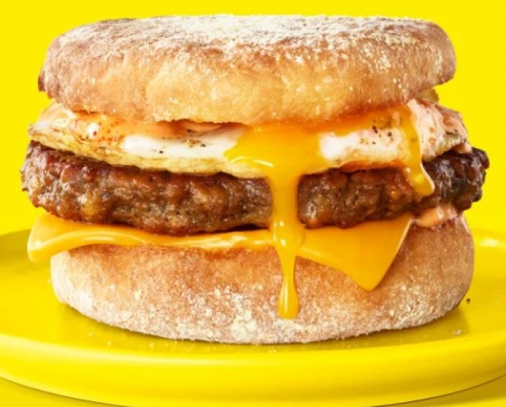 <h6 class='prettyPhoto-title'>Cheese Burger with Egg</h6>