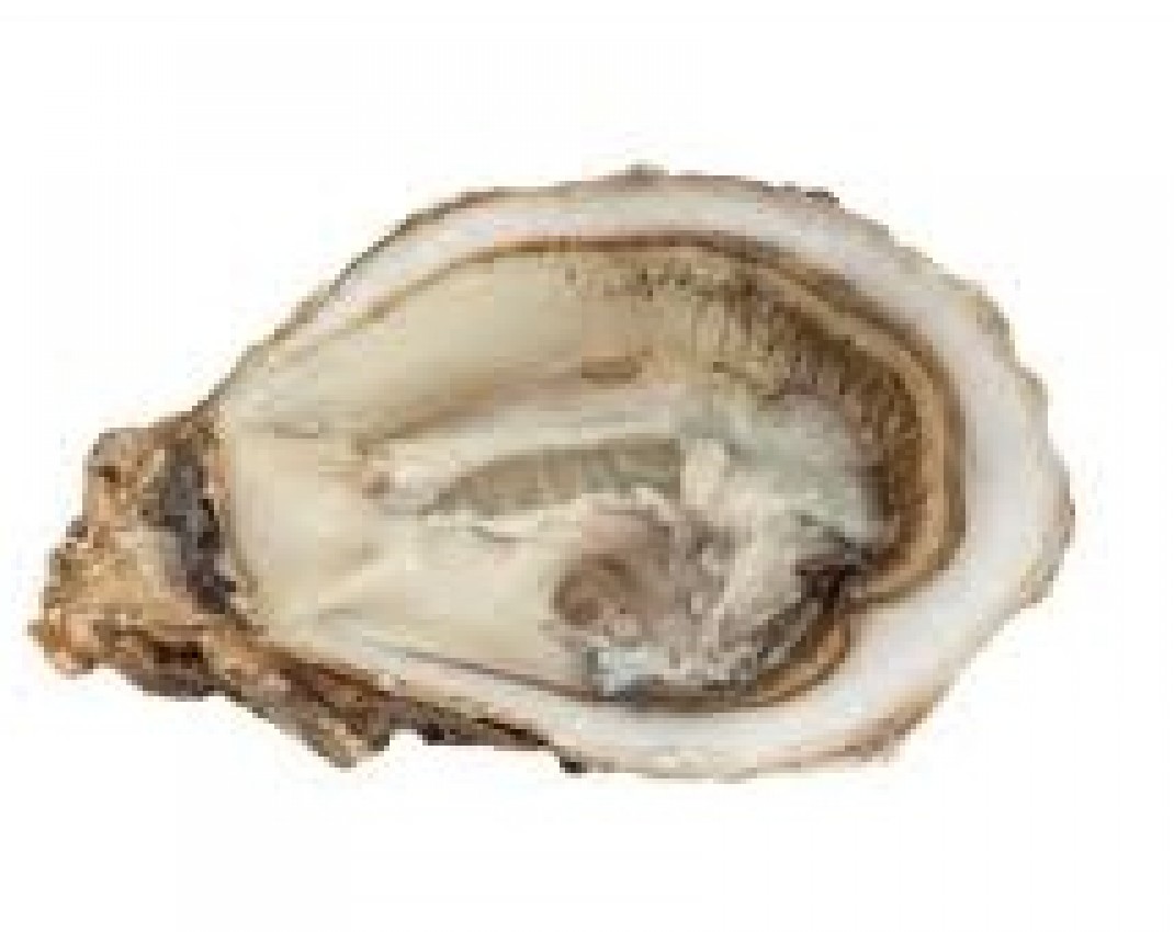 <h6 class='prettyPhoto-title'>The 6 small Oysters n°5</h6>
