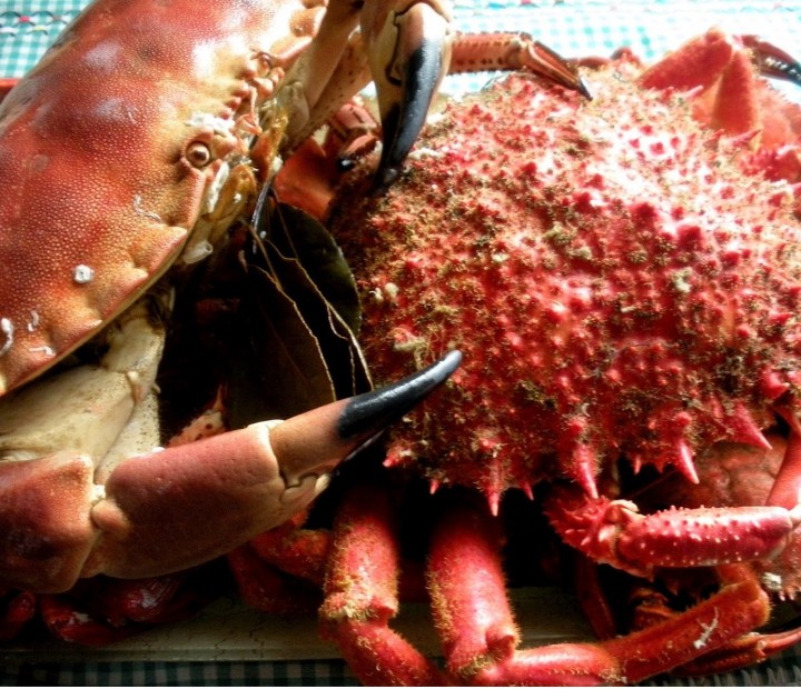 <h6 class='prettyPhoto-title'>Brown crab or spider crab cooked in sea water</h6>