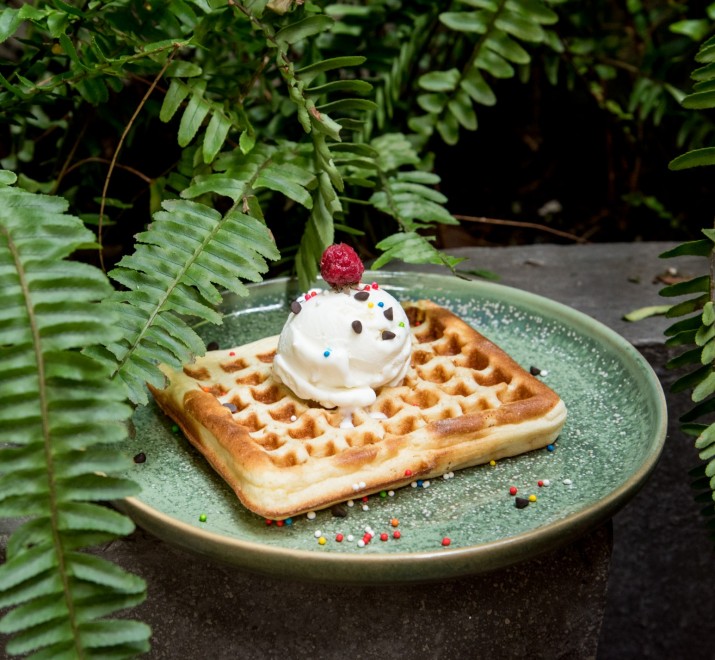 <h6 class='prettyPhoto-title'>Waffle with ice cream- Bánh kẹp với kem</h6>