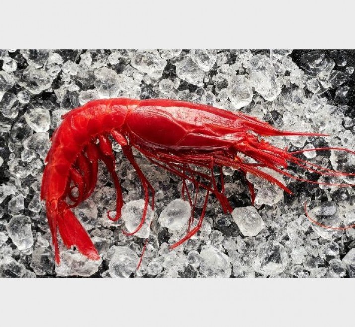<h6 class='prettyPhoto-title'>Sicilian Red Shrimp /Txangurro /Tomato Salsa </h6>