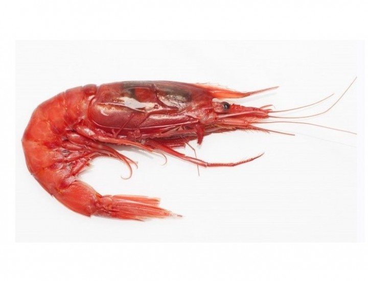 <h6 class='prettyPhoto-title'>Topping Red Shrimps 1 pc.</h6>